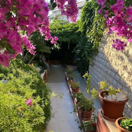 Spacious Apartment, Tania Apartment