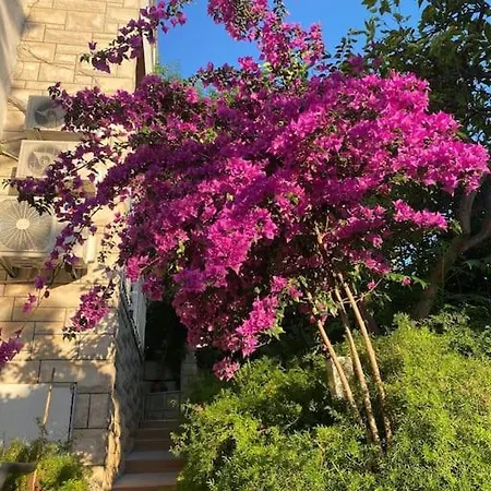 Spacious Apartment, Tania Daire Hvar Town