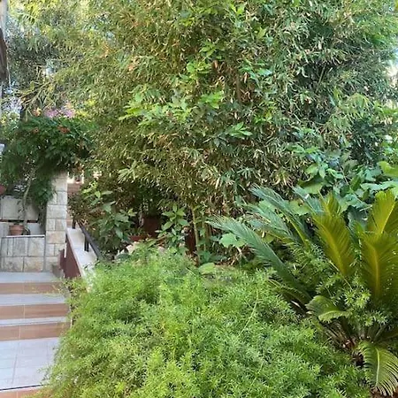 Daire Spacious Apartment, Tania