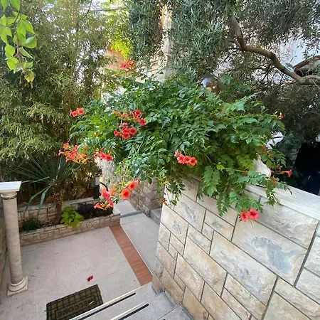 Spacious Apartment, Tania Daire *